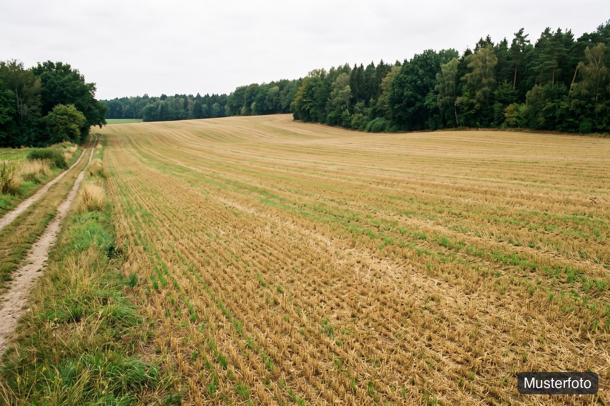 Musterfoto land- und forstwirtschaftliches Grundstück, nicht das tatsächliche Objekt